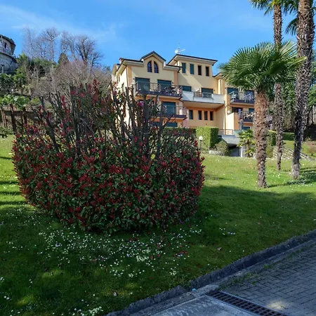 Acqua ストレーザ